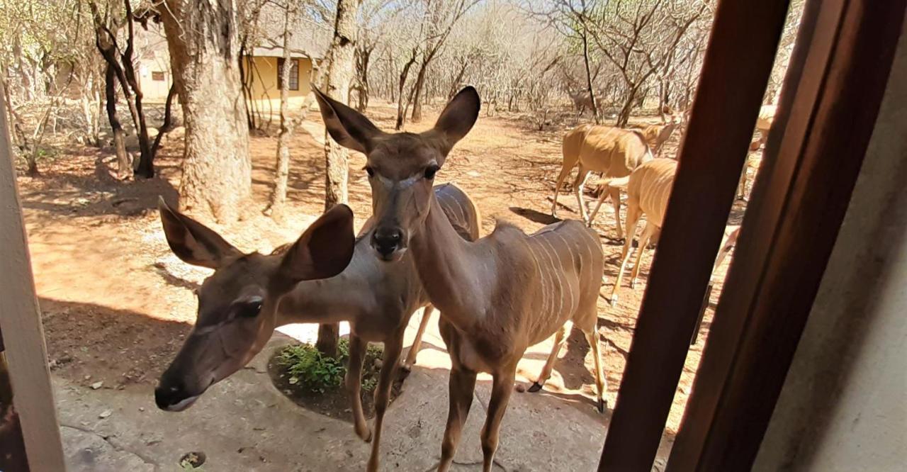 Kruger Private Lodge Marloth Park Dış mekan fotoğraf