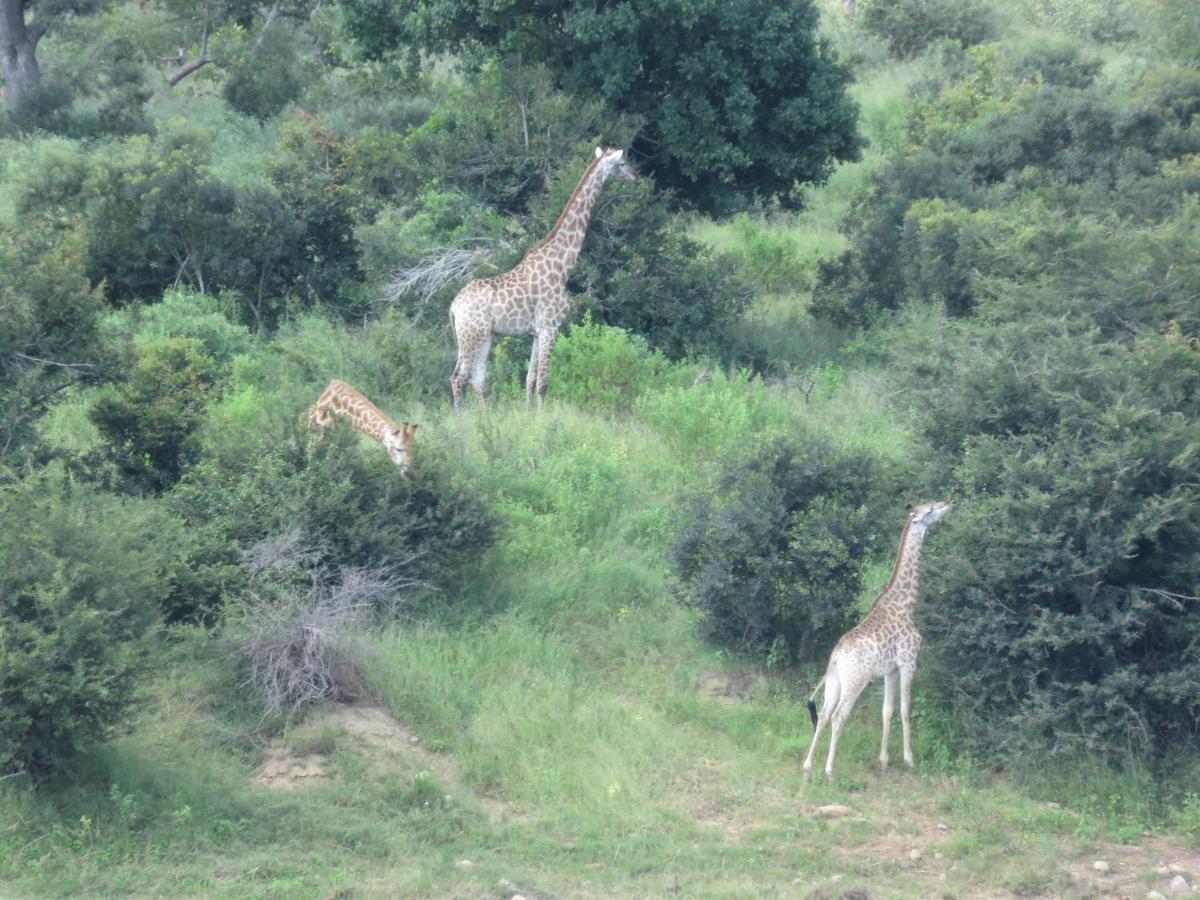 Kruger Private Lodge Marloth Park Dış mekan fotoğraf