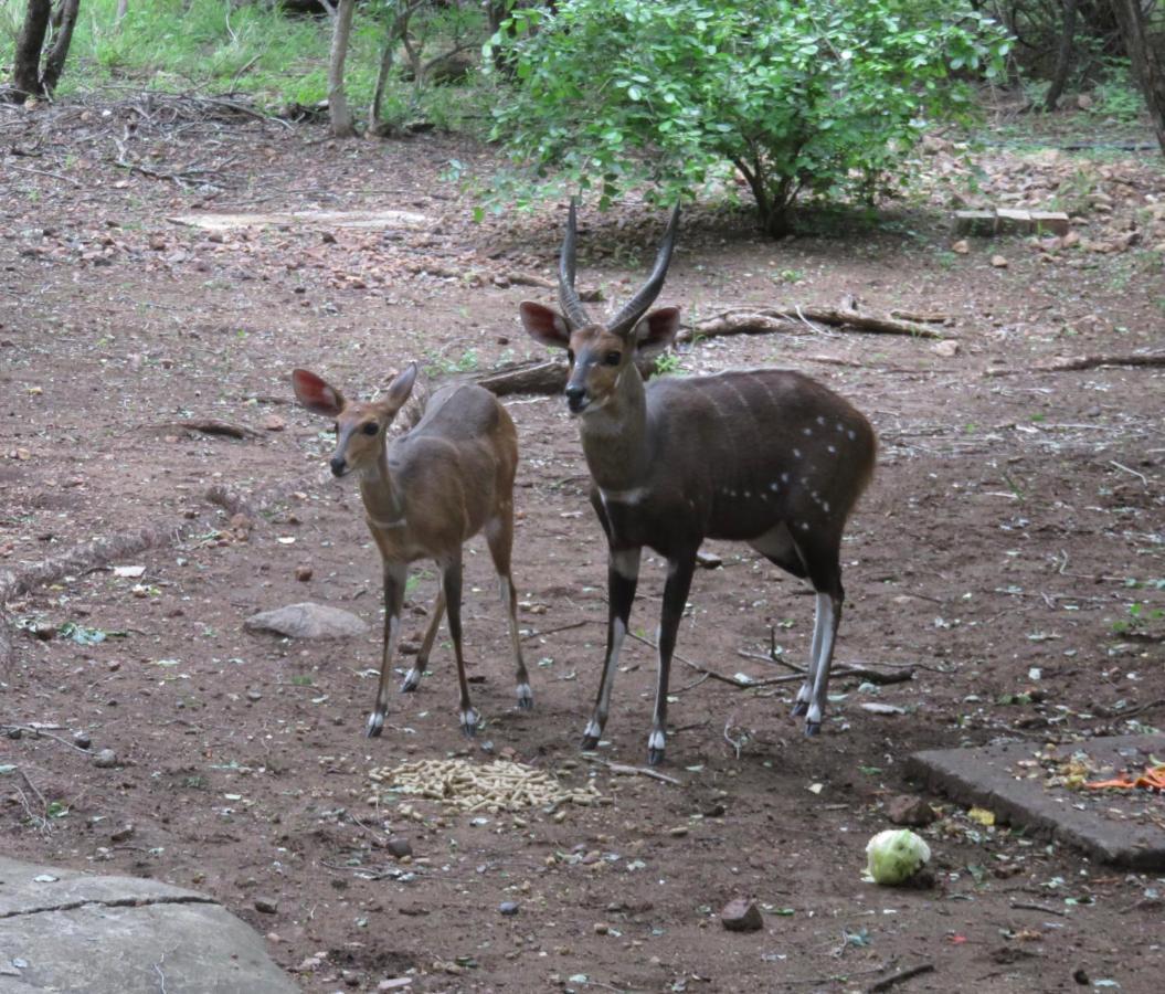 Kruger Private Lodge Marloth Park Dış mekan fotoğraf