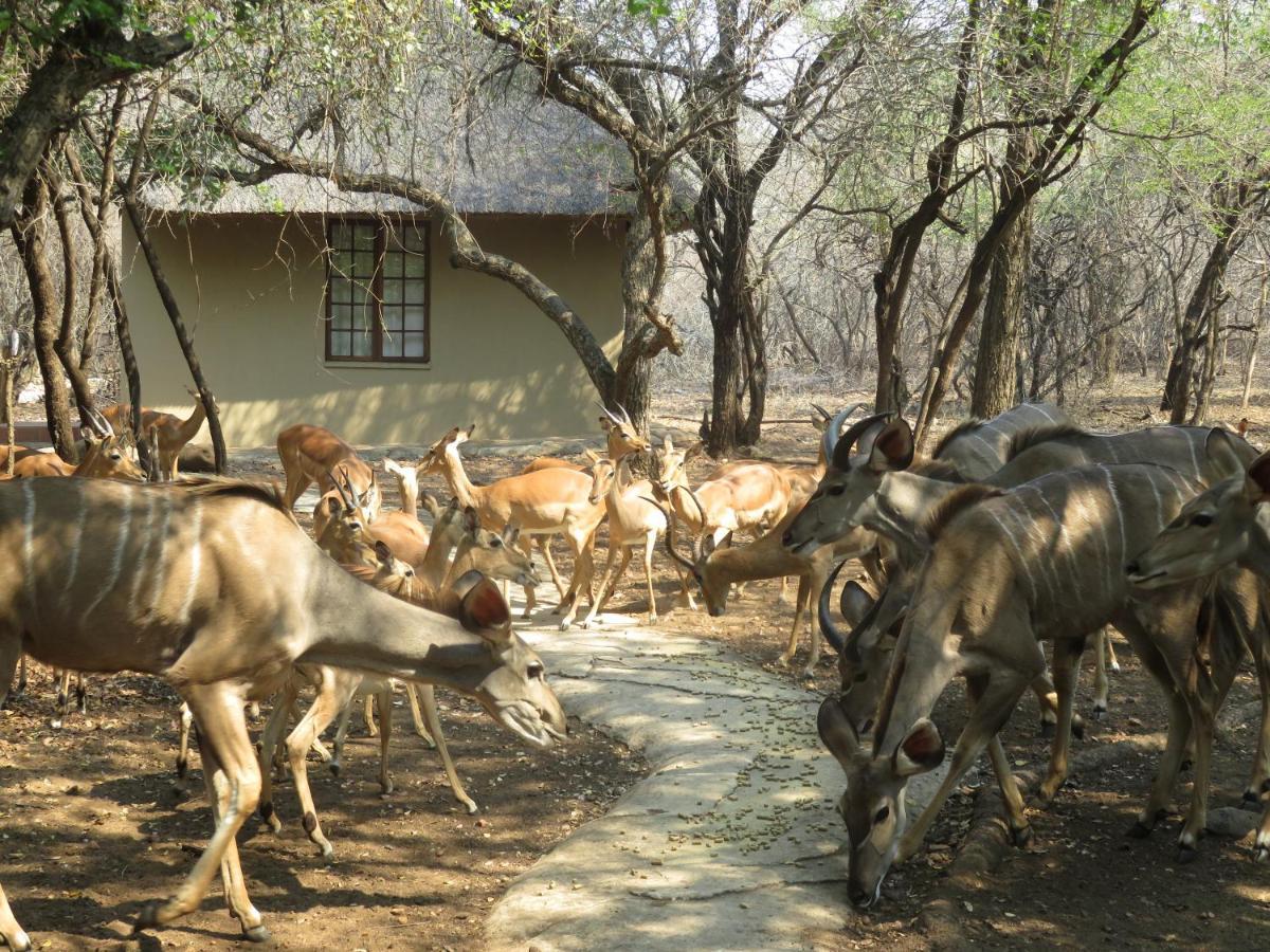 Kruger Private Lodge Marloth Park Dış mekan fotoğraf