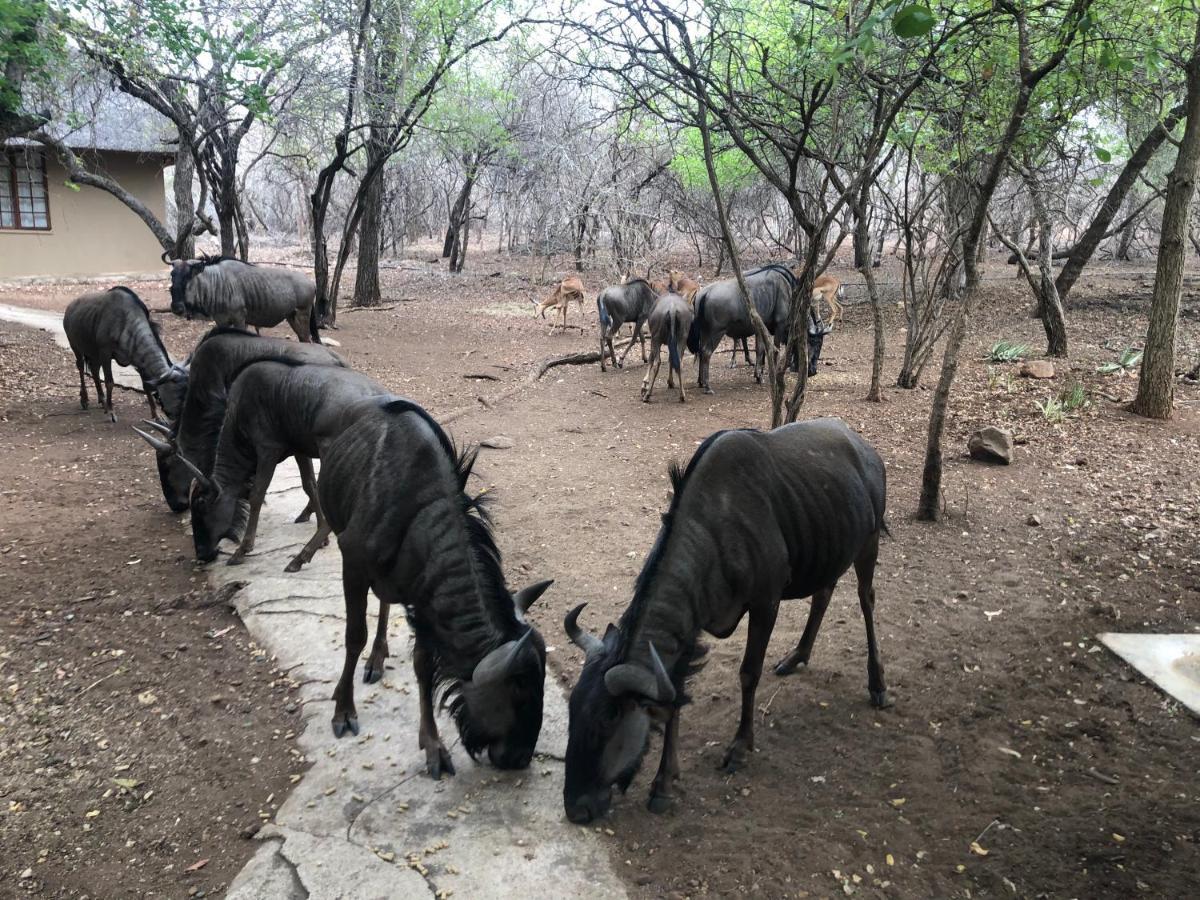 Kruger Private Lodge Marloth Park Dış mekan fotoğraf