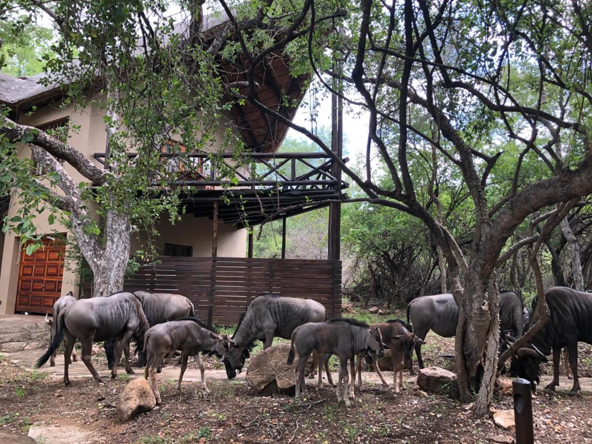 Kruger Private Lodge Marloth Park Dış mekan fotoğraf