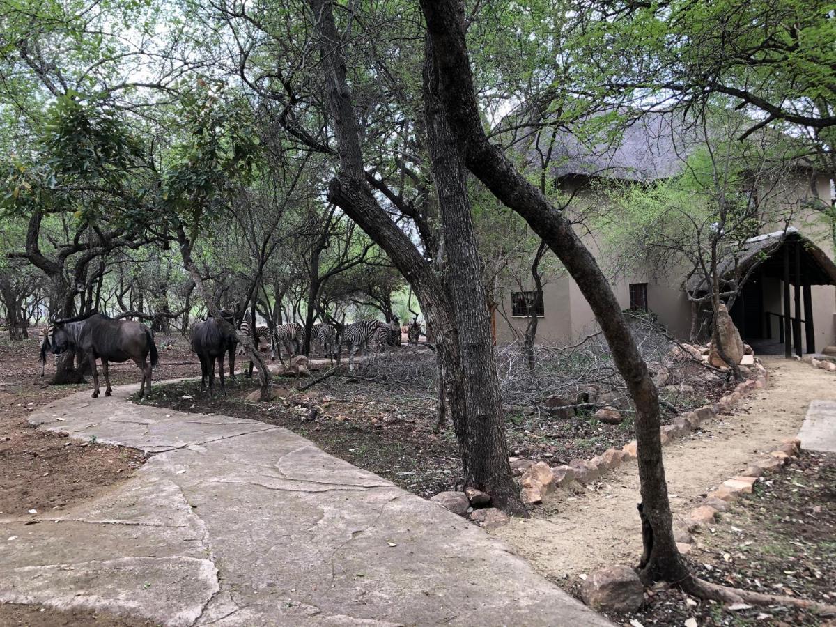 Kruger Private Lodge Marloth Park Dış mekan fotoğraf