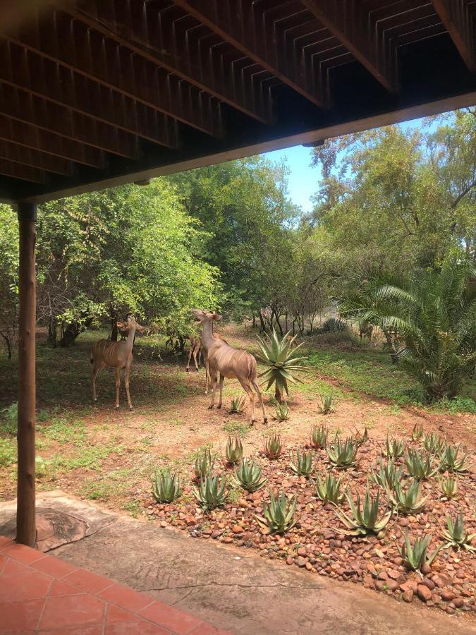 Kruger Private Lodge Marloth Park Dış mekan fotoğraf