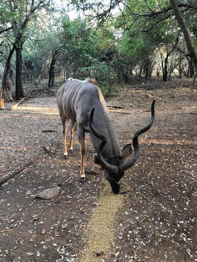 Kruger Private Lodge Marloth Park Dış mekan fotoğraf